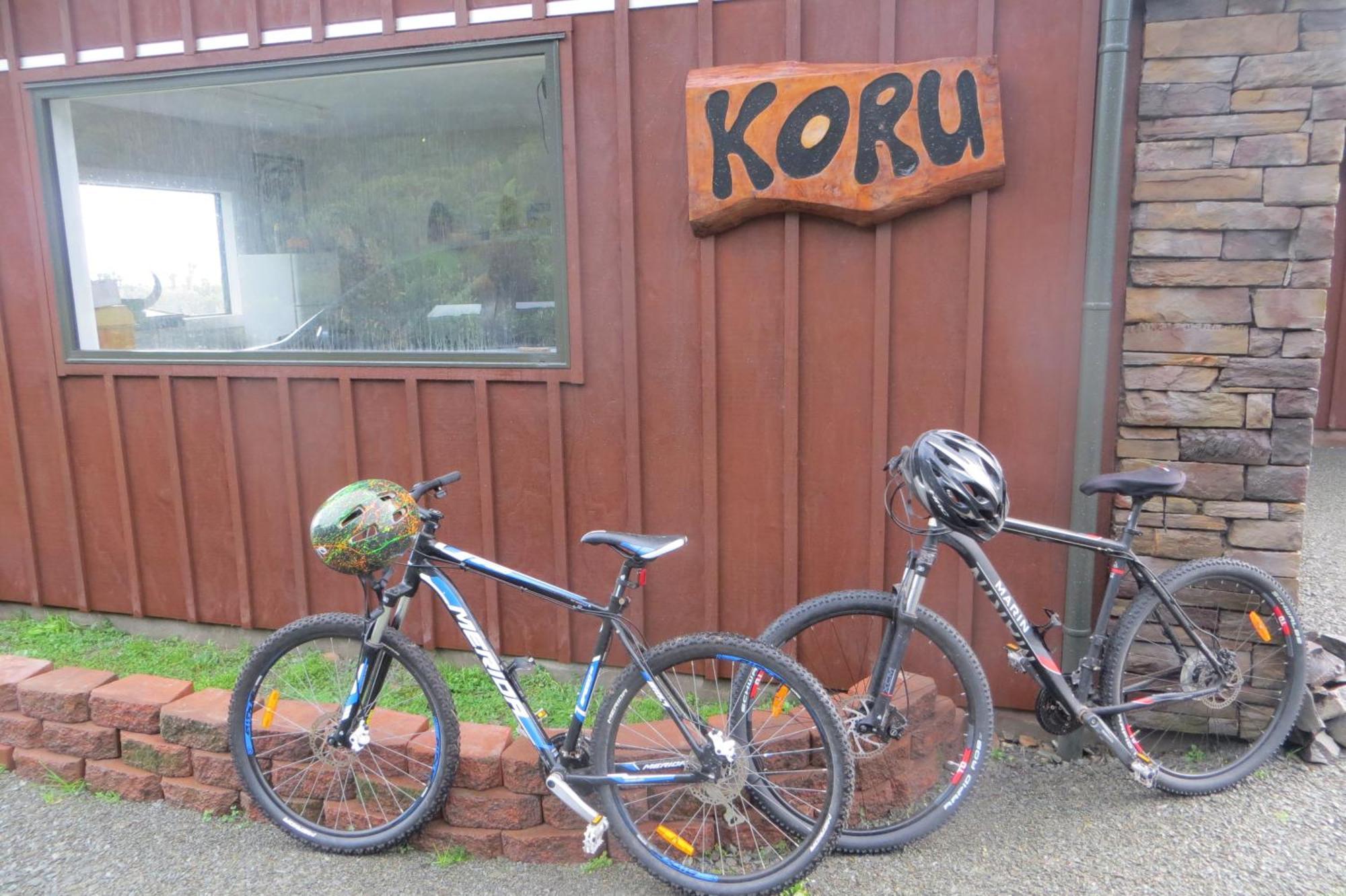 Koru Beachfront Holiday Cabins & Hot Tub Barrytown Exterior foto